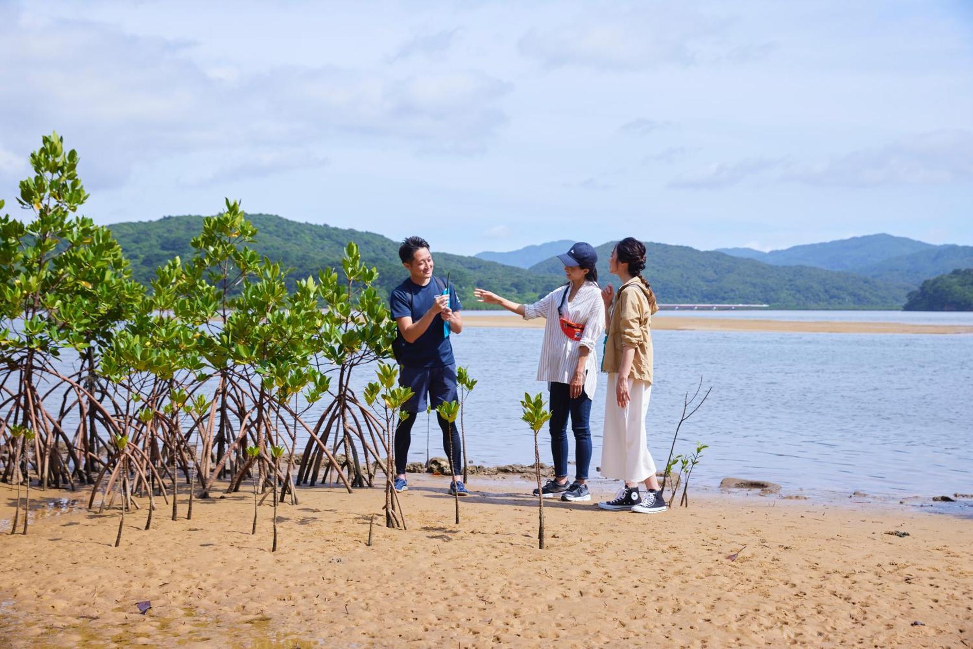 Iriomote Hotel By Hoshino Resorts Urauchi Экстерьер фото